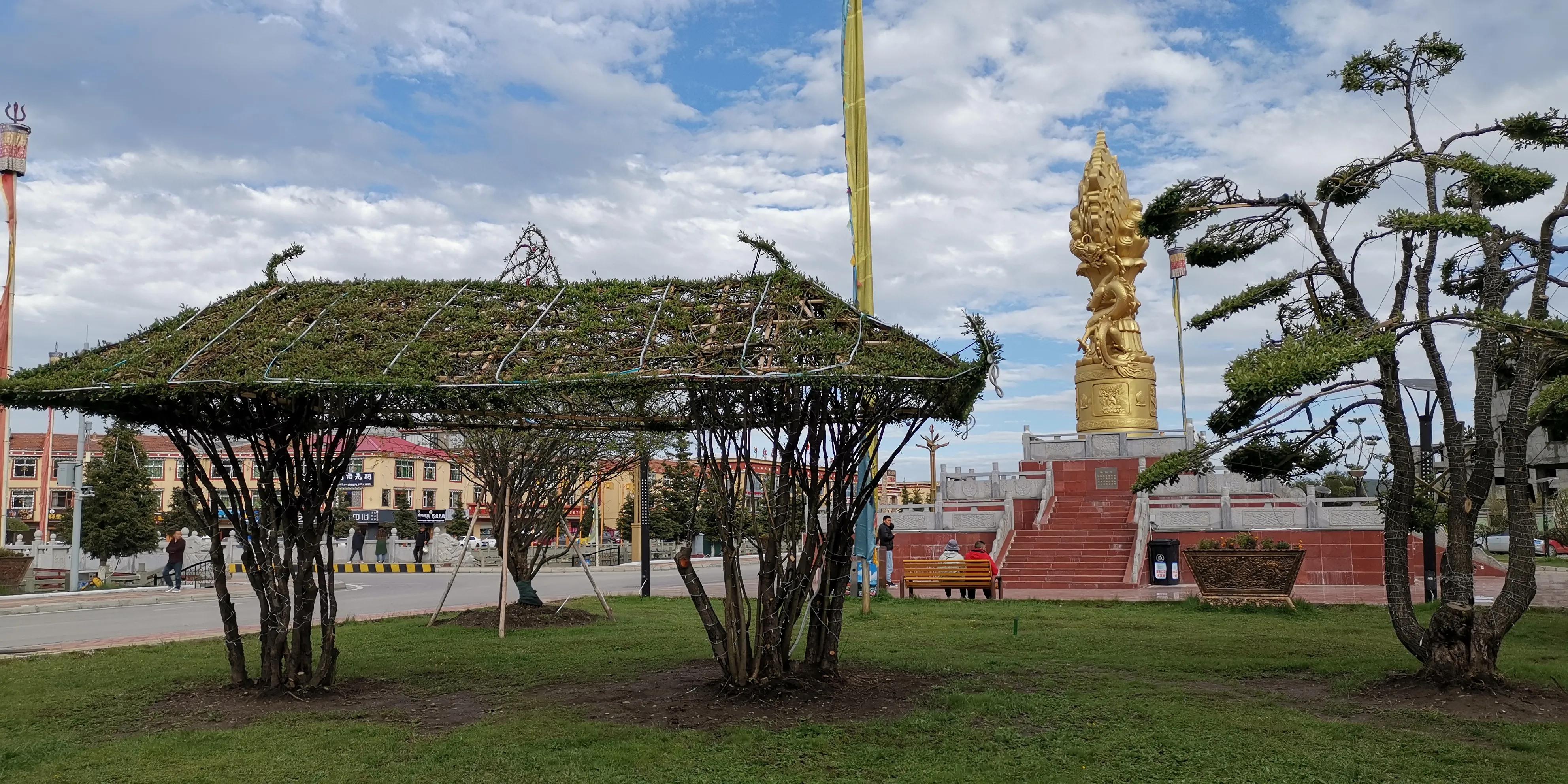 六月的红原，绿成为草原上最美的颜色