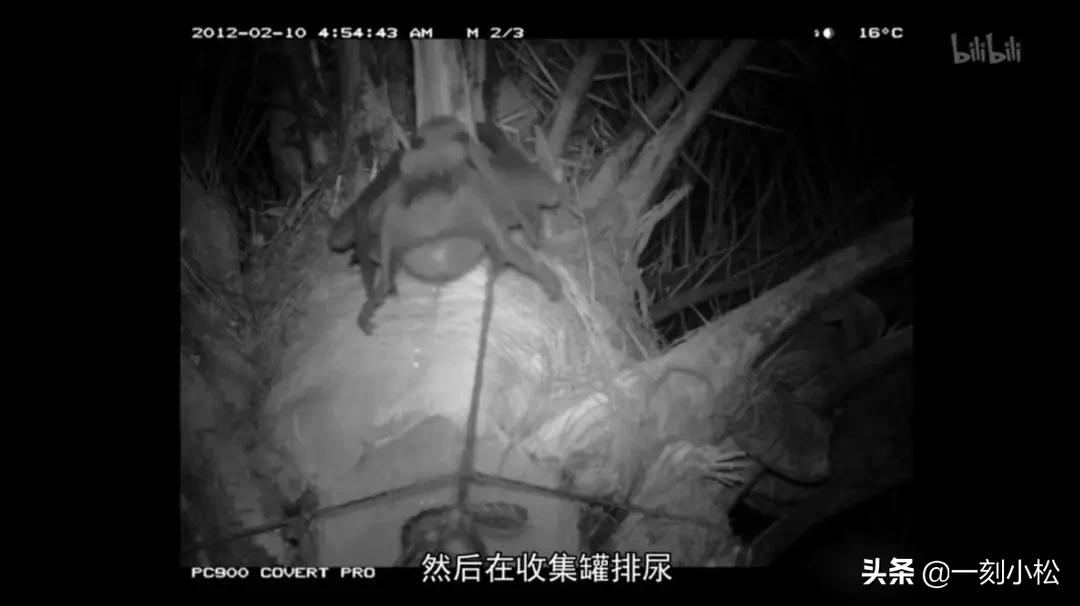 全球第一部疫情纪录片,最严重的疫情纪录片