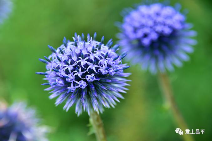 昌平游玩有山有水的地方推荐,昌平旅游攻略必去的地方