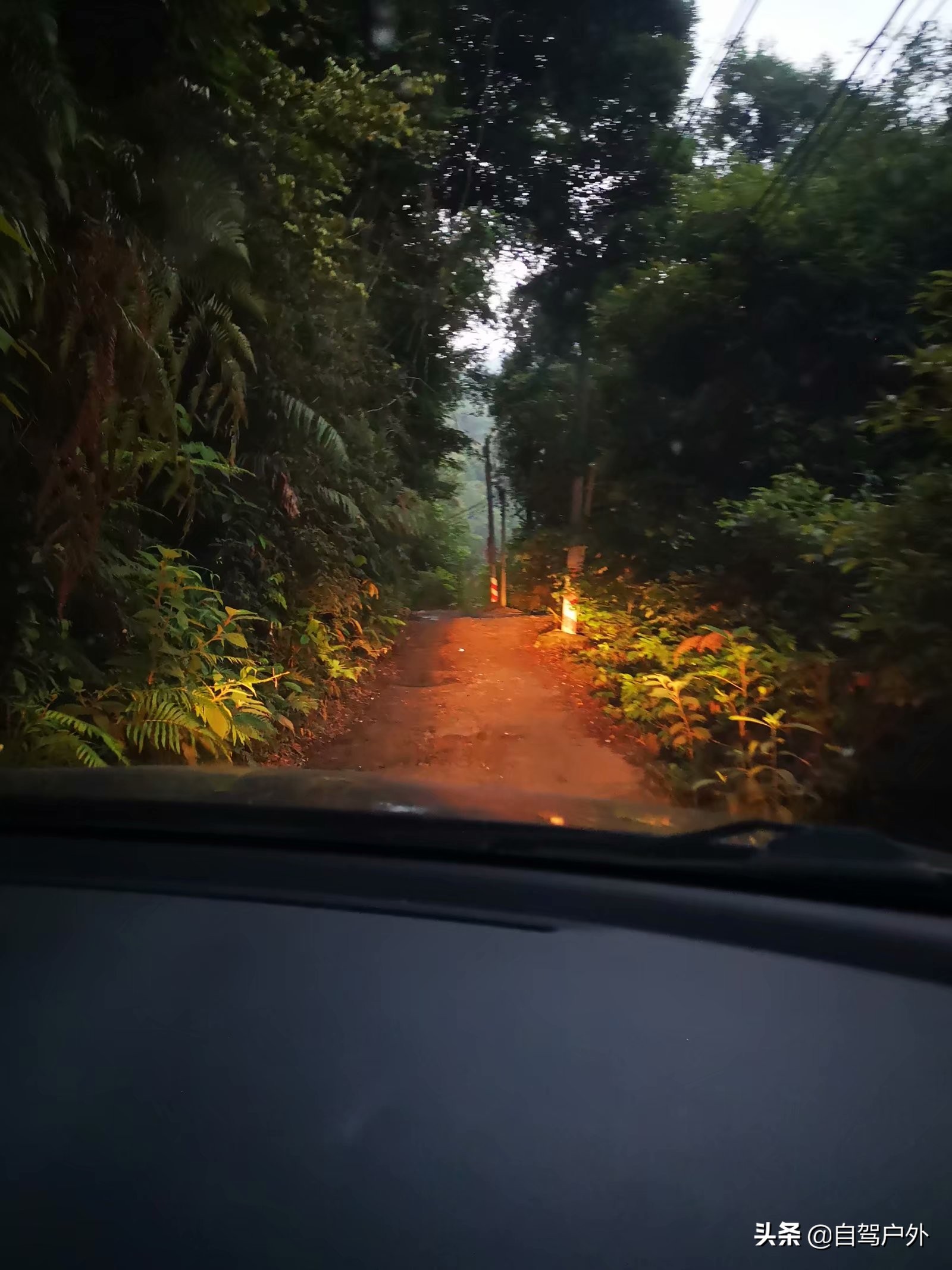 惠州明月山庄露营,罗浮山休闲竹林露营地