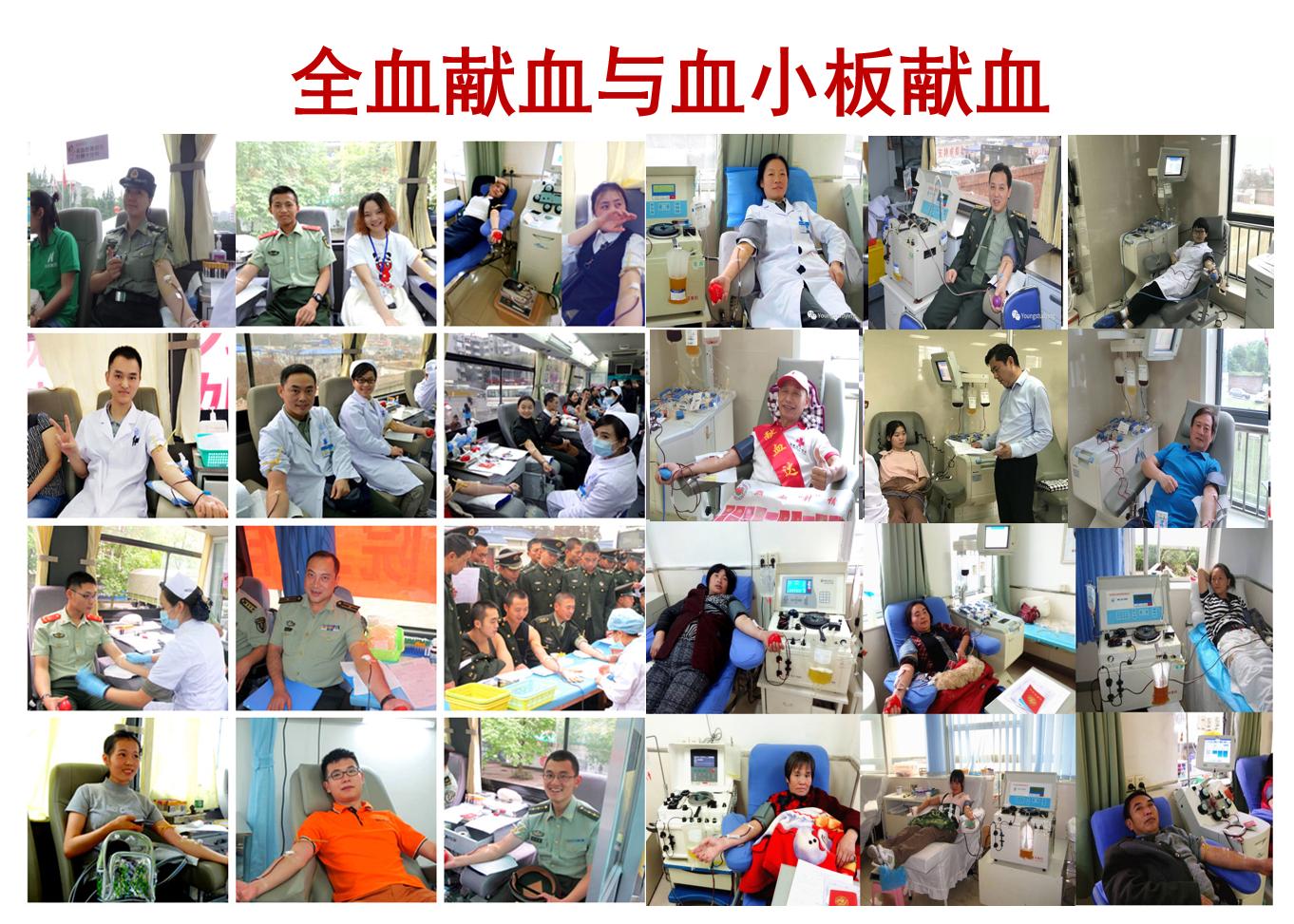 rh阴性熊猫血献血有什么政策吗,rh阴性熊猫血发生溶血