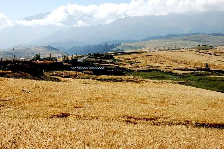 新疆昌吉州奇台县碧流河腰站子村,奇台县腰站子村概况