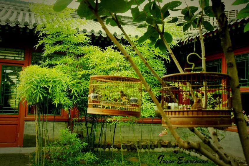 中国最美苏式私人院子,中国式老院子