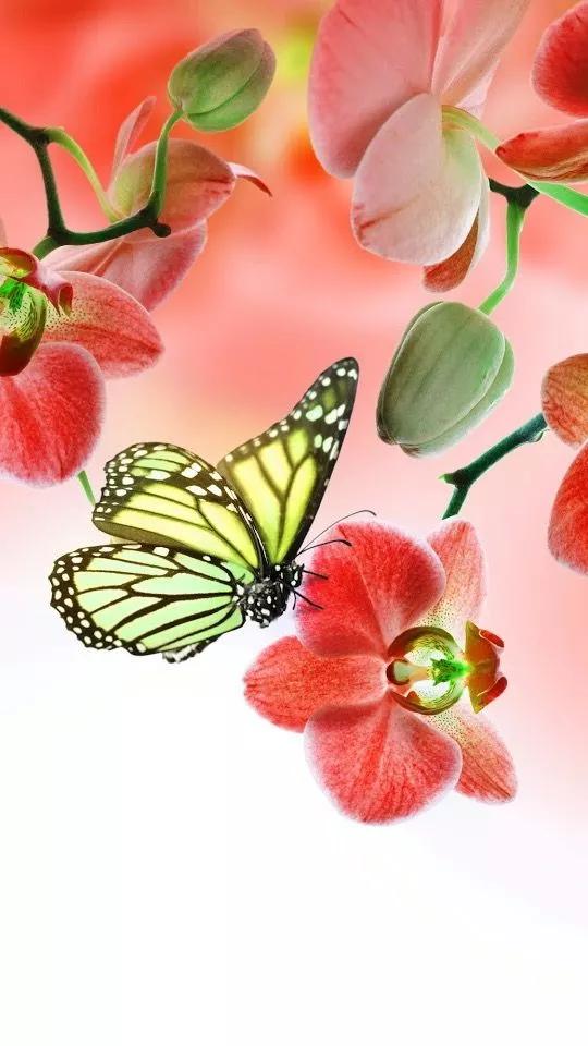 100个惊艳的美人盘点,中国最美的50个美人