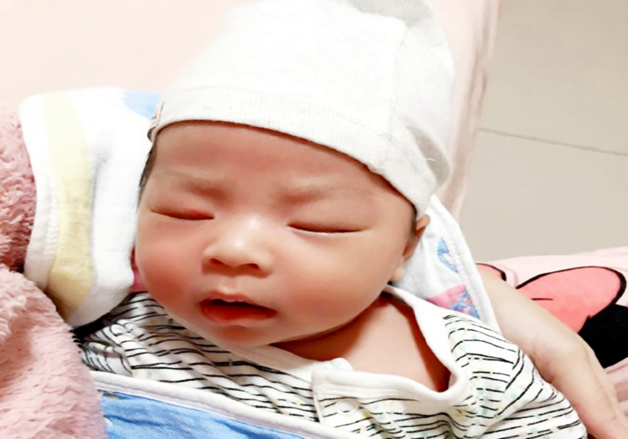 母乳放大100倍原来真的是血做的,母乳在显微镜下被放大1000倍