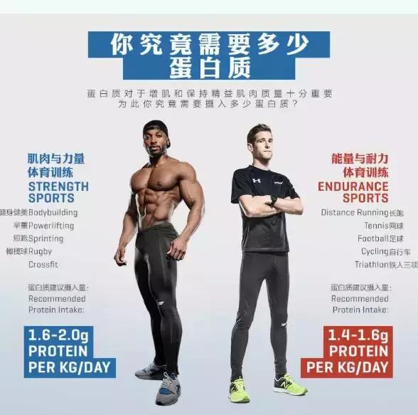 蛋白粉对增强免疫力有用吗,蛋白粉和增肌粉的最佳食用时机