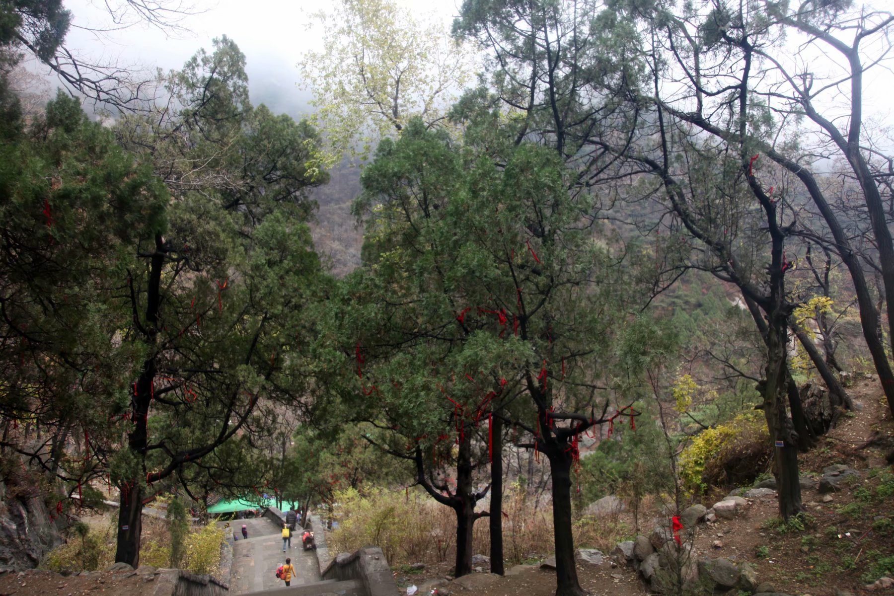 泰山景区在山东哪个市,泰山孔子庙在泰山的位置