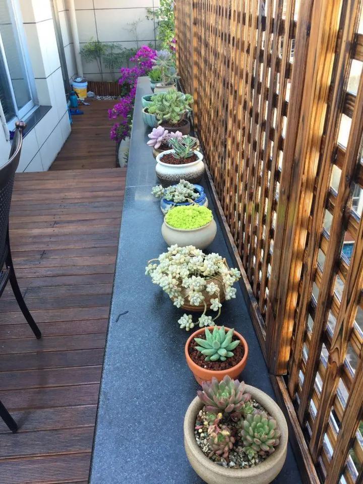 最美的人间四月天演唱视频,最美的人间四月天如约而至