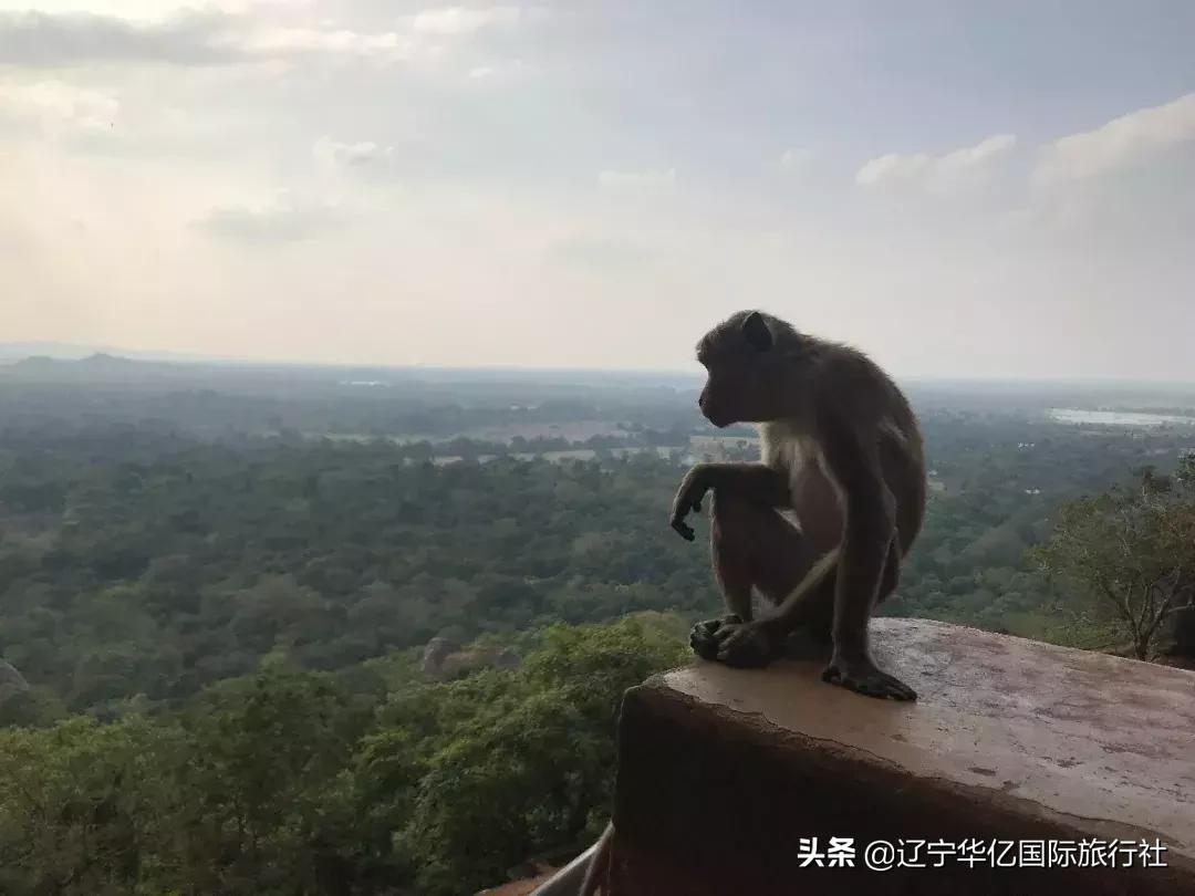 看世界从容过生活,看世界兰州