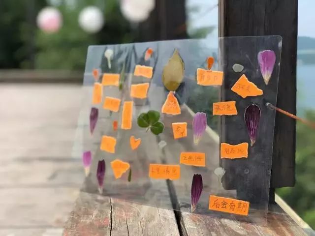 鍖椾含閲戞捣婀栧厤璐归湶钀ョ殑鍦版柟,閲戞捣婀朼kid姘翠笂杩愬姩