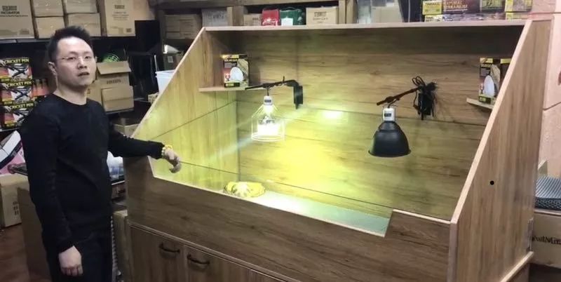 他从小玩爬虫，继承香港金鱼街“祖师爷”衣钵，靠卖爬虫配件发家