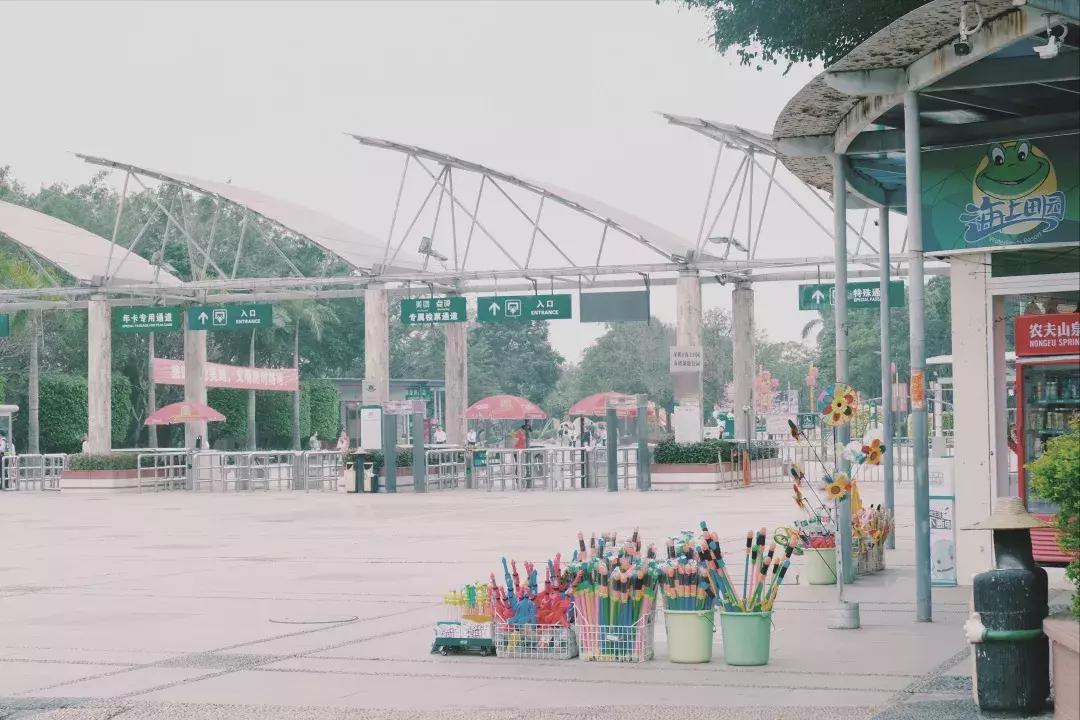 每个地方都有个沙井,好多地方叫沙井