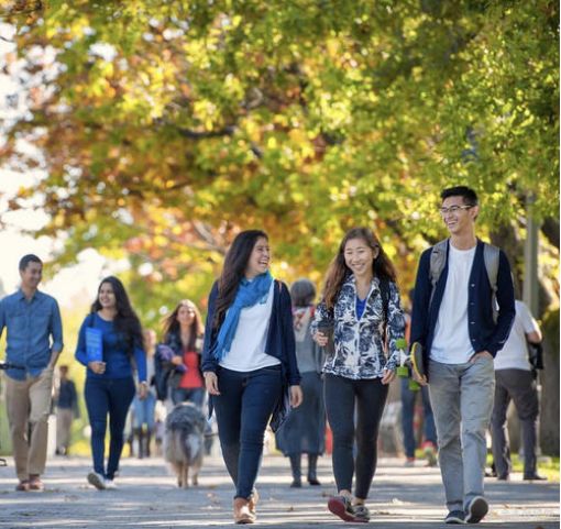 10年前他为了移民加拿大卖掉北京两套房，结果令人很意外