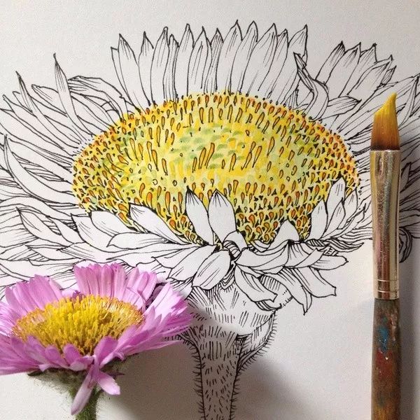 简单针管笔手绘花,简单易学针管笔手绘