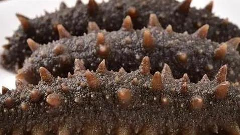 青岛特产在青岛哪里买,青岛土特产青岛能带走的十大特产