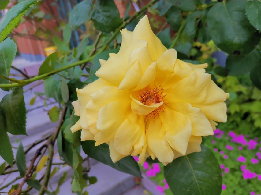 6年级毕业联欢会活动策划书,毕业联欢活动策划书小学六下