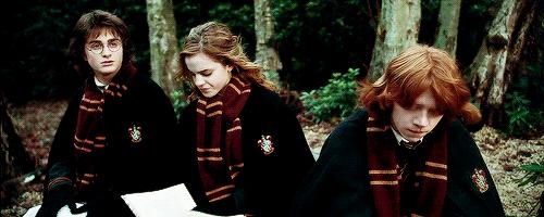 哈利波特四十岁生日的样子,哈利波特十九年后