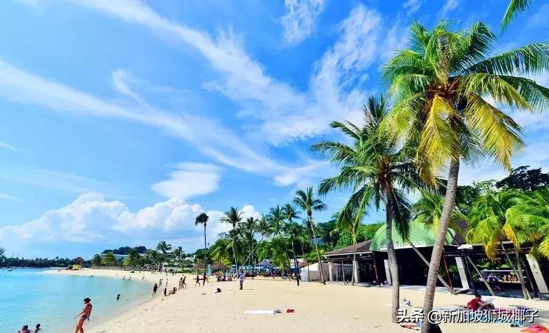 新加坡在国人眼里,外国人惊叹新加坡