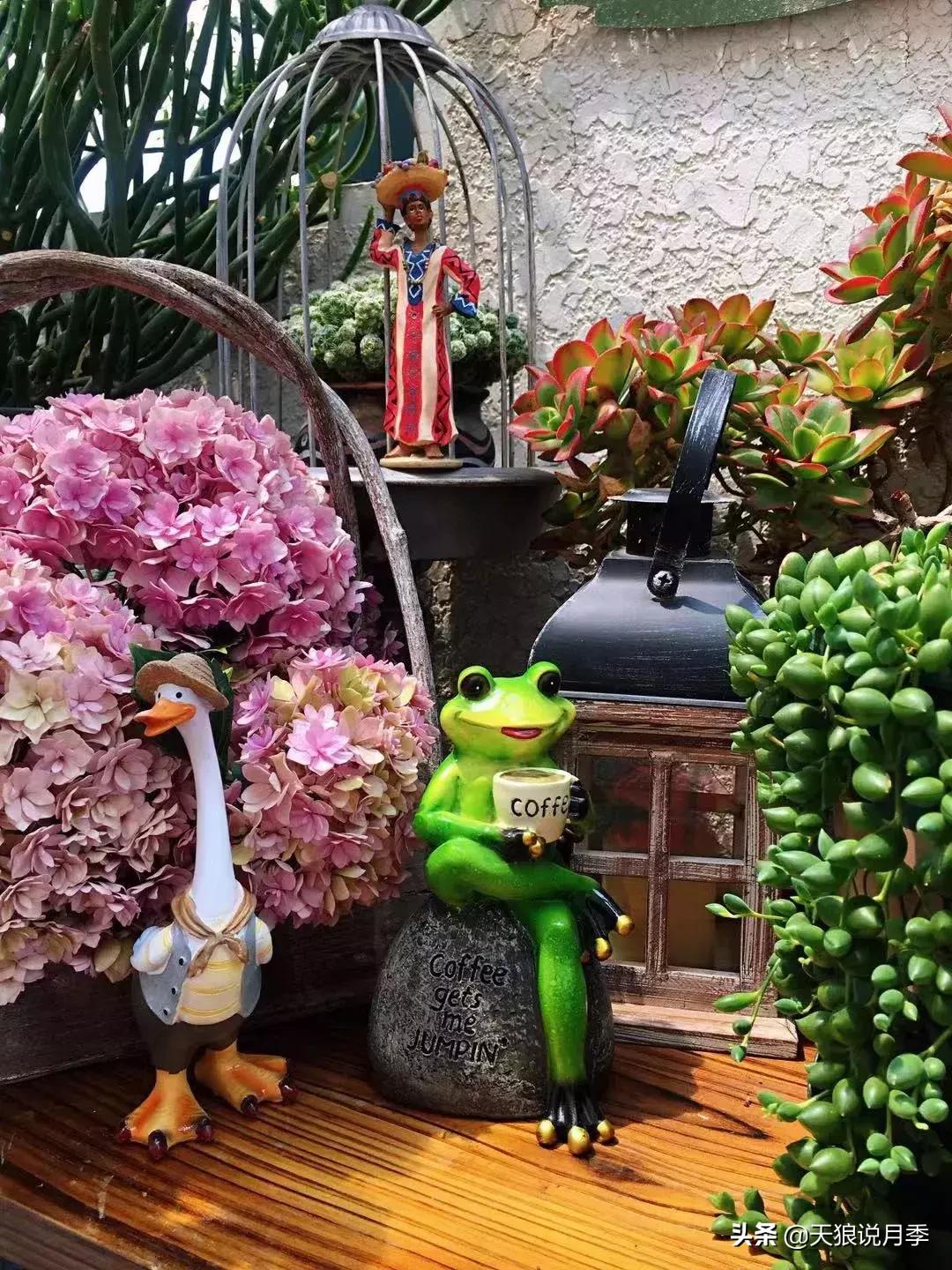 露台打造花海,她用10年改造庭院