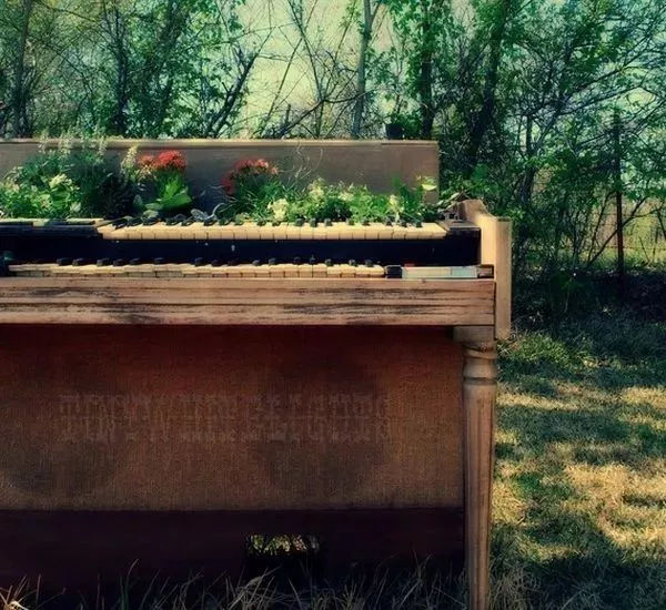 最有意境的照片关于钢琴,全球最美100张照片