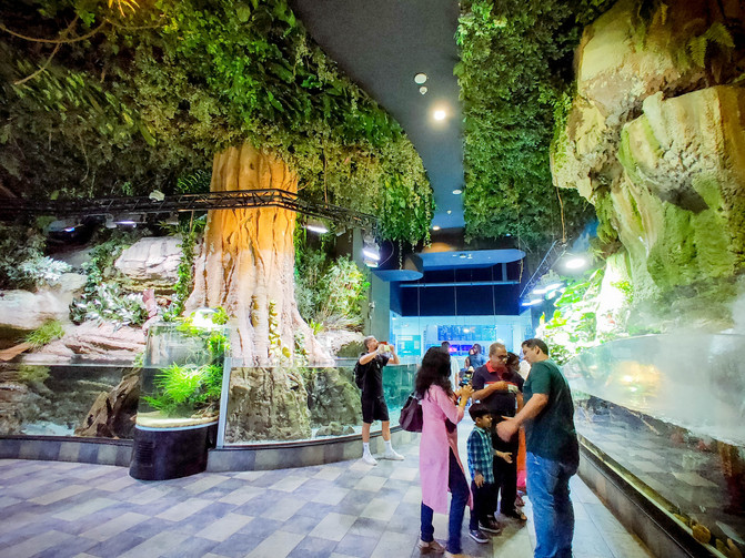 不一样的角度看迪拜,10个冷知识带你认识迪拜