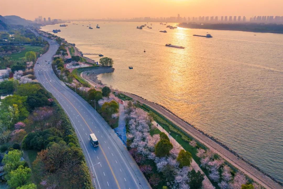 黎辉现场调度八卦洲长江岸线整治，要求如期整治到位，确保长江大保护工作走在前列