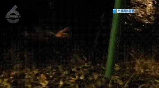 大寒潮小寒潮,寒潮带来大范围降雪