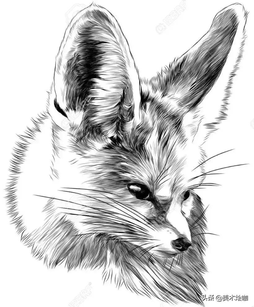 6-12岁儿童素描课程画动物,素描动物教程简单8-12岁