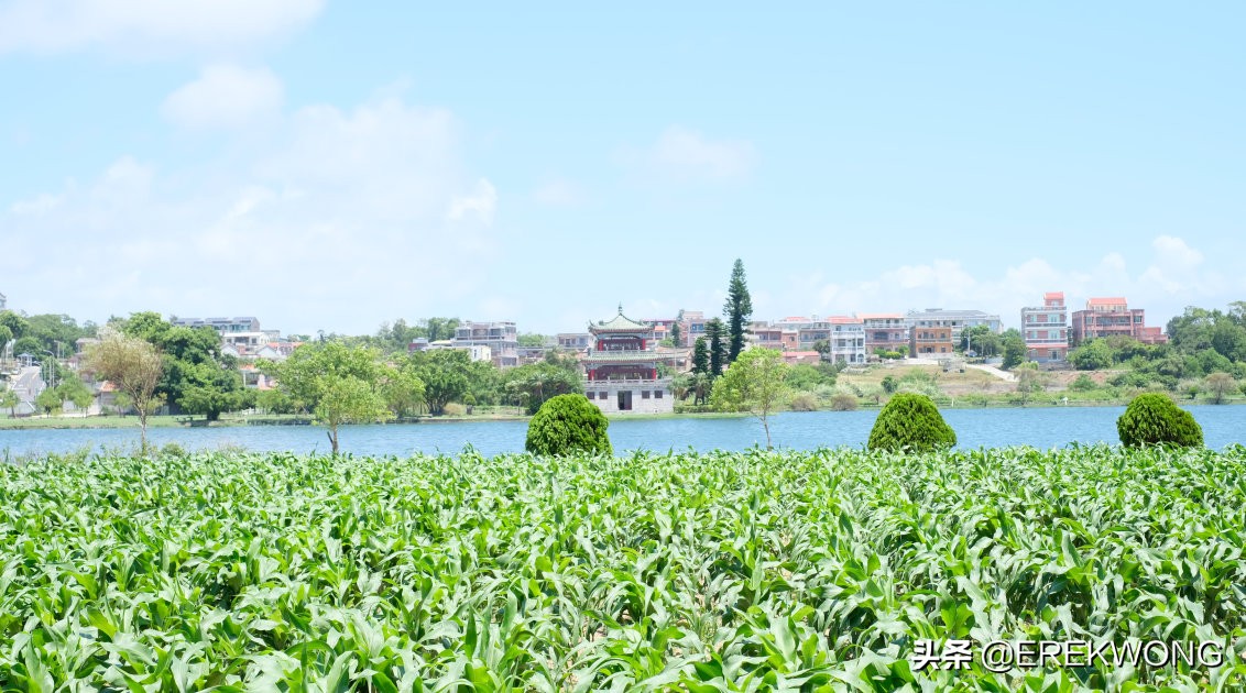 金门自由行攻略,金门游玩攻略路线推荐