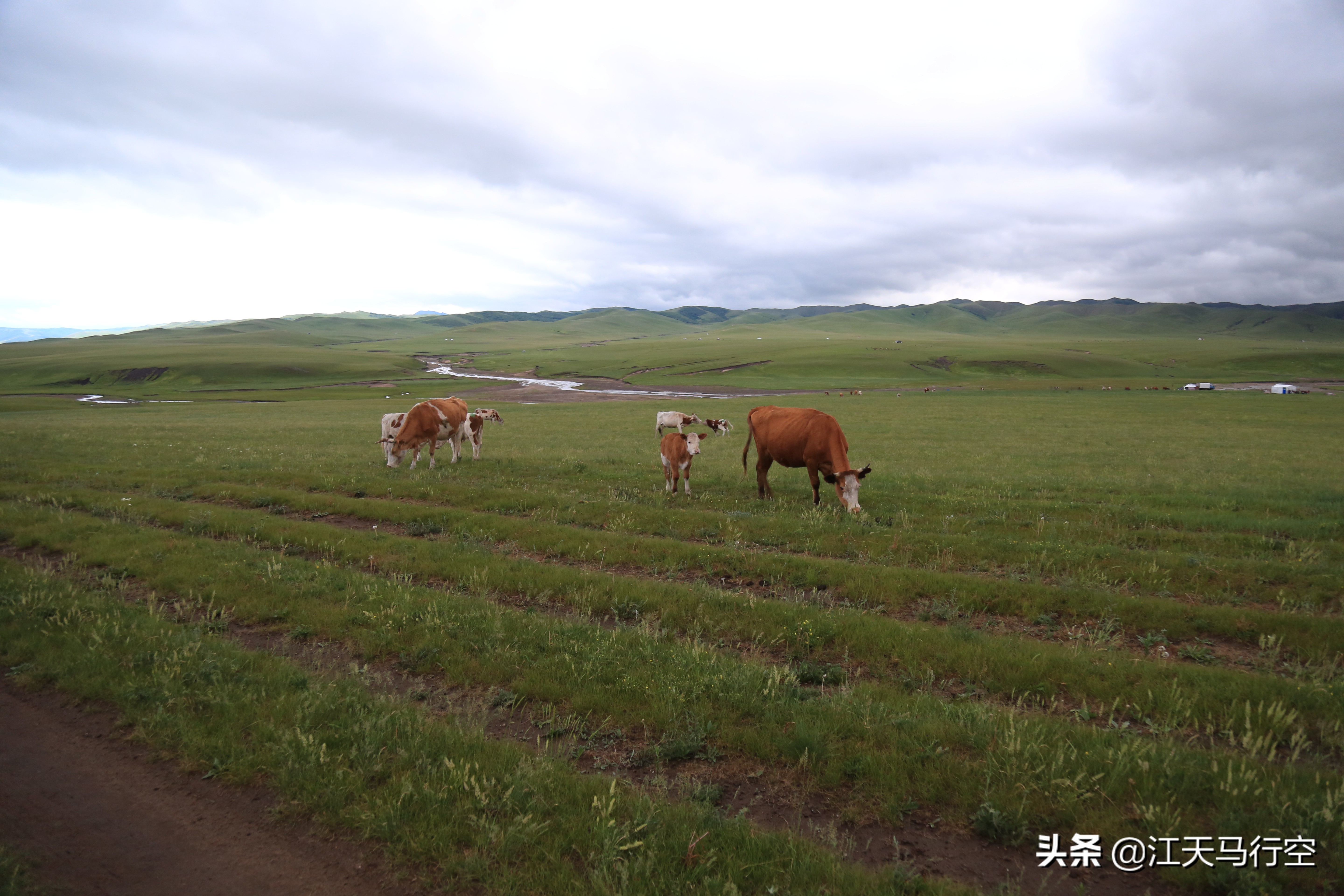 内蒙古草原与国家公园,内蒙古的草原自然公园