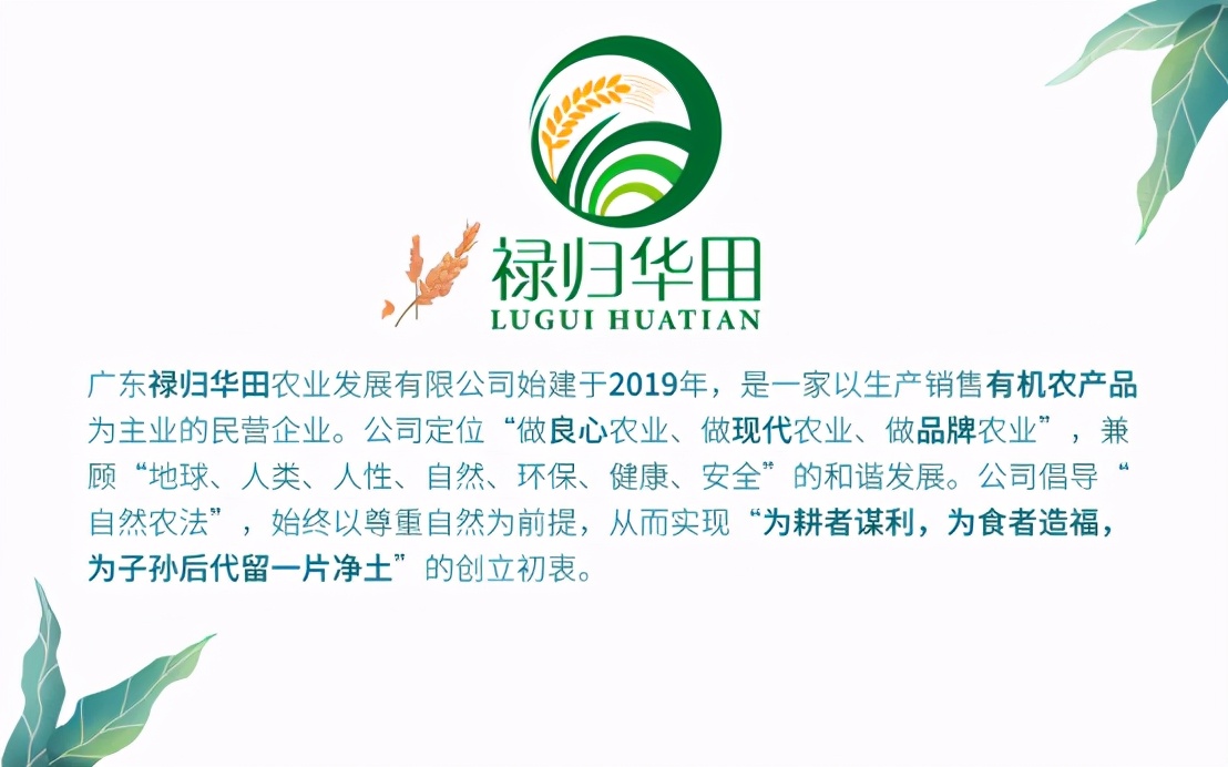 冬日第一杯咖啡暖心,冬日饭前一碗鲫鱼汤贴心又暖胃