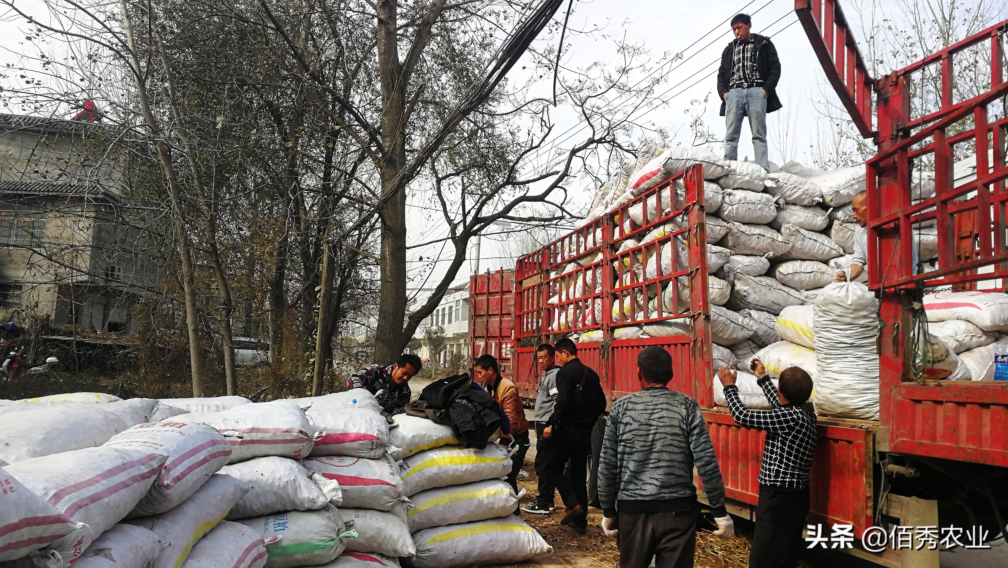 农民40岁以后干什么工作最赚钱,50岁农民打工一年能挣多少钱