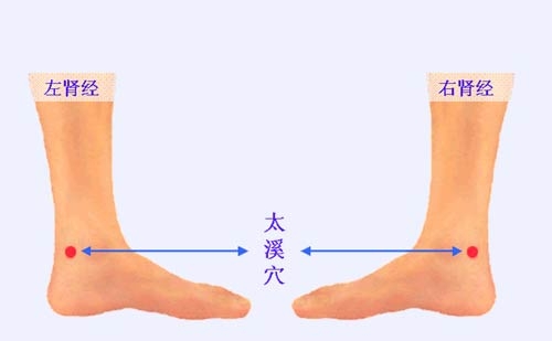 脾虚下肢酸沉,下肢经常酸沉是怎么回事