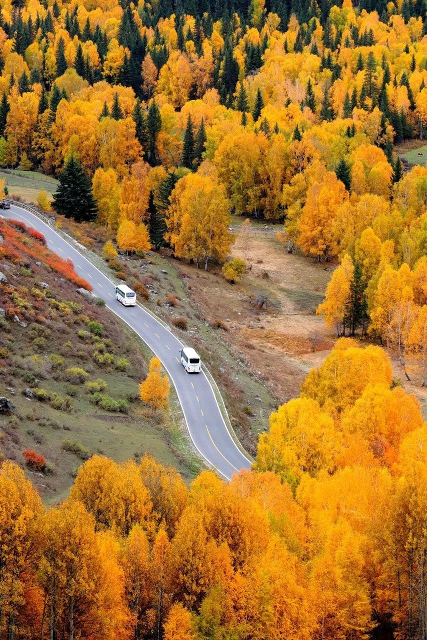 涓嶈兘鍘诲鍦扮殑鐞嗙敱,浜旂浜轰笉鑳藉幓鐤嗗唴鏃呮父