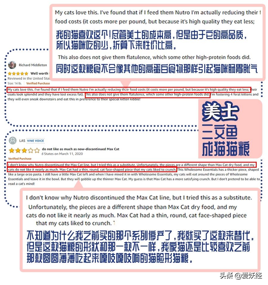 十大良心进口猫粮排名测评,进口天然猫粮