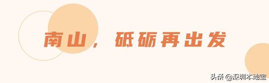 深圳经济特区民生建设,深圳经济发展方向南山区