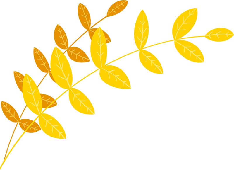 柿柿如意今秋造访最美柿子乡,金秋十月收获的季节柿柿如意