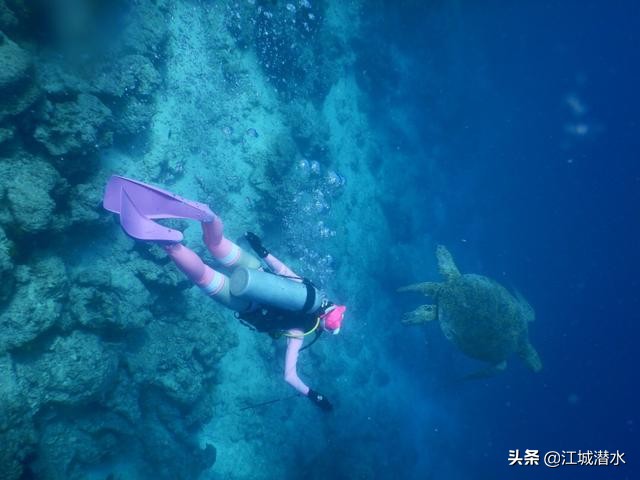 潜水会浮起来怎么办,如何潜水在水底不浮起来