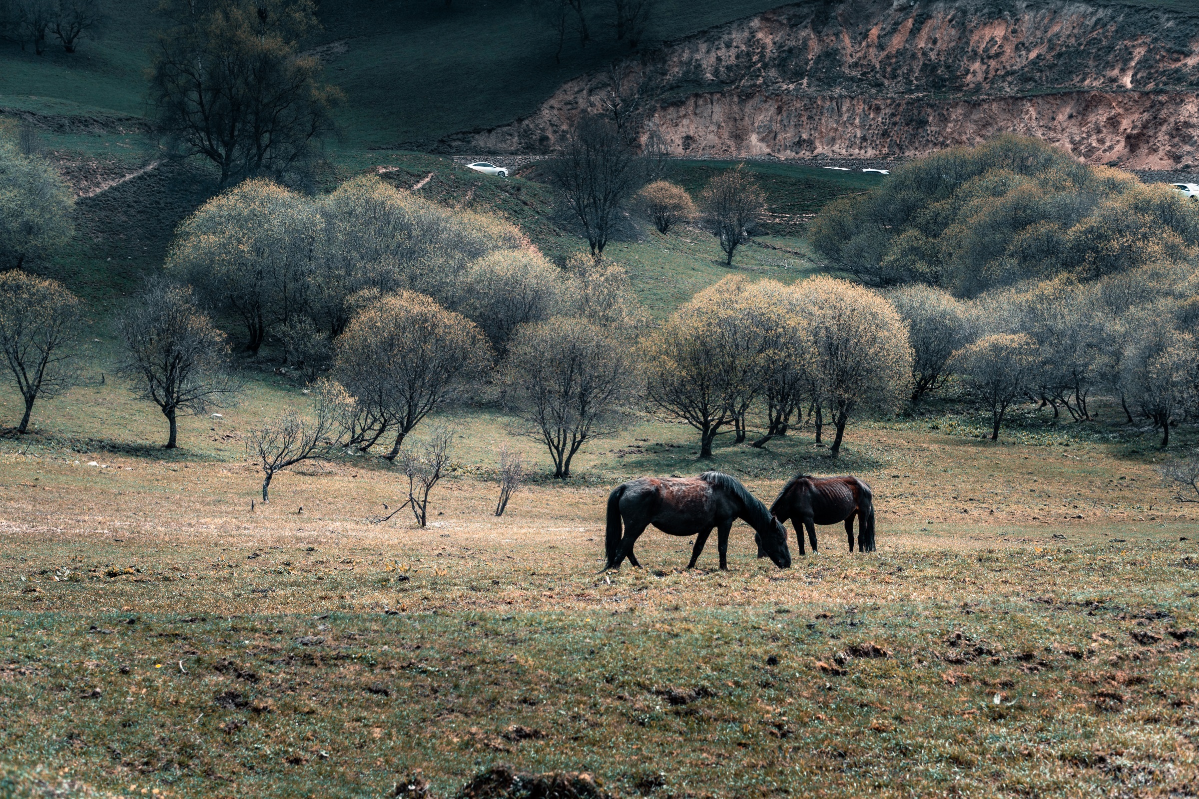 索尼微单a6000优缺点,索尼微单6000用什么sd卡