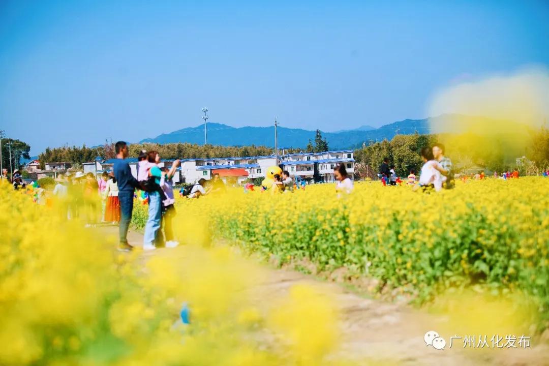 从化吕田美食攻略,从化吕田特色美食有哪些