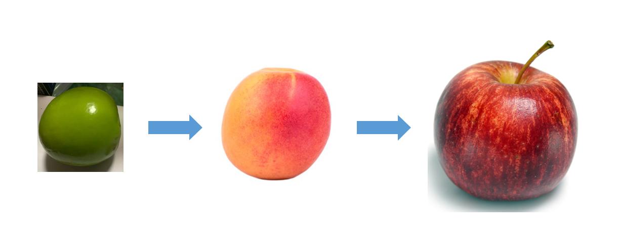 臀部里长了个硬硬的瘤子,臀部上长个瘤子不疼不痒软软的