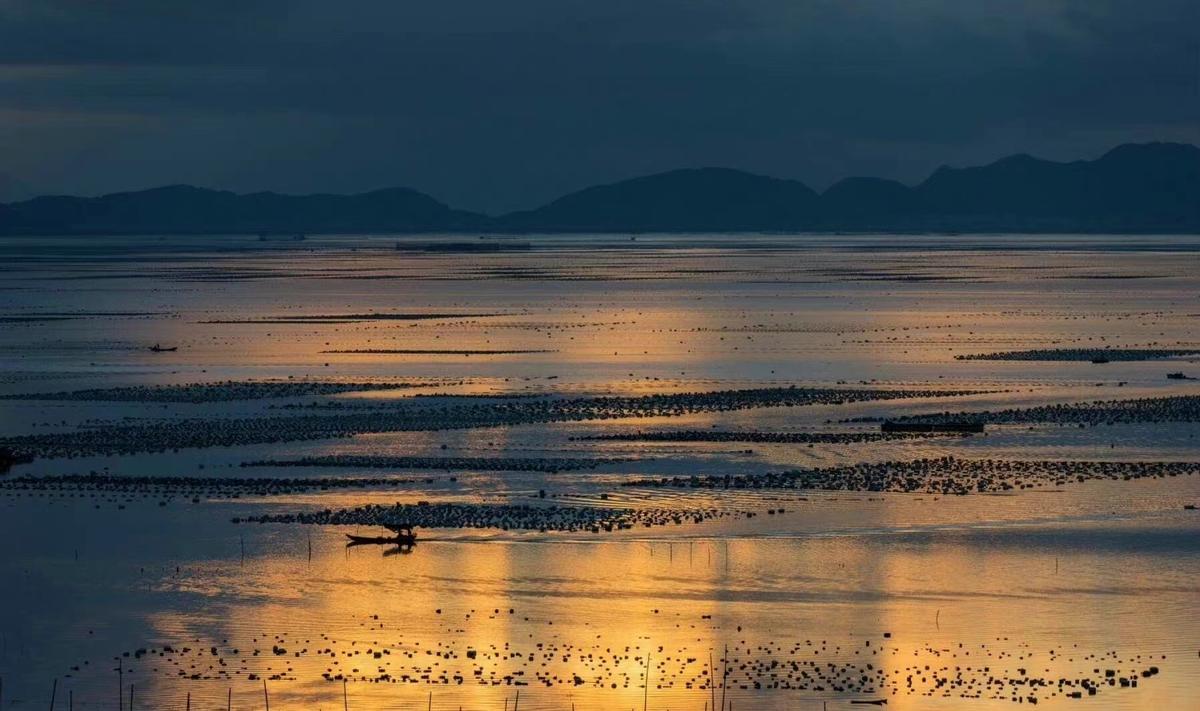 自卑的人不愿意做这三种事,怎么克服自卑和半途而废的心理