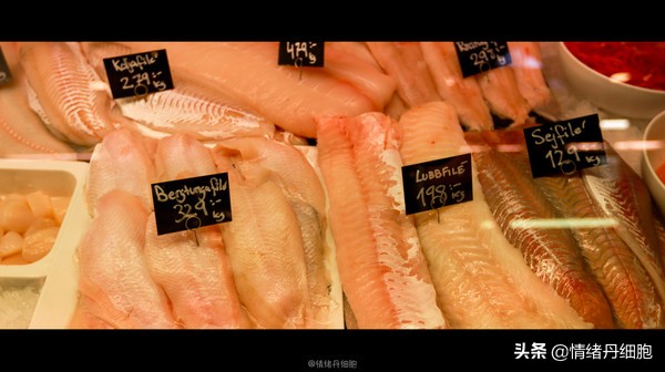 可以去玩一整天的地方,能玩一两天的地方