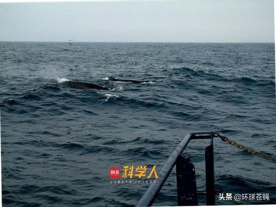 白令海峡徒步到阿拉斯加,印第安人是怎么过白令海峡的