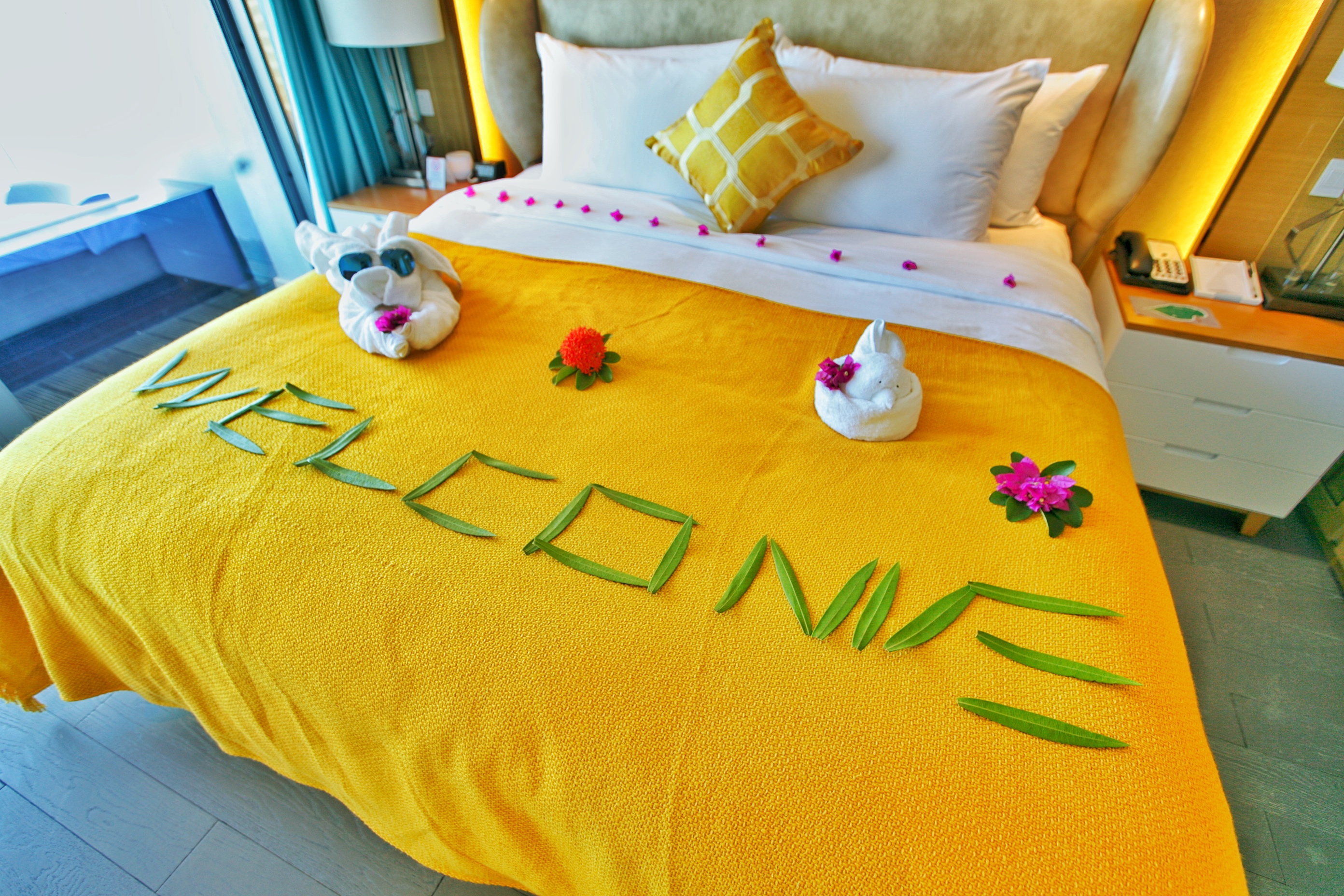 去三亚是住一个酒店好还是分开住,去三亚住酒店还是买房