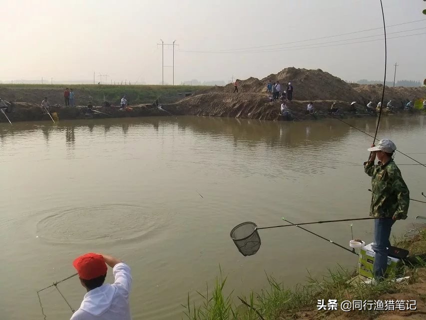 小体草鱼,钓草鱼中鱼率高冬季钓草鱼技巧