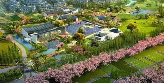 田园东方的成功之处,田园综合体的未来