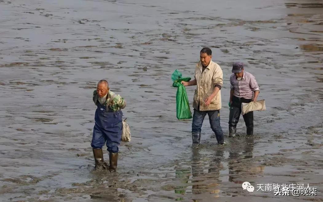 大连庄河赶海排名第一名,庄河赶海网红视频
