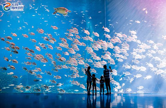 长隆女神月，大马戏低至210元起！