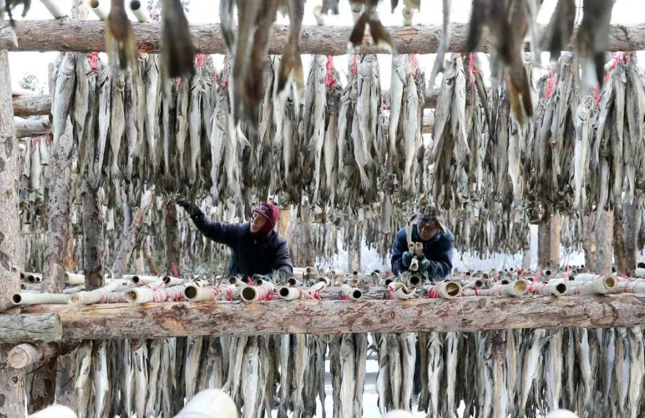 韩国人眼中的明太鱼,明太鱼是韩国特有吗